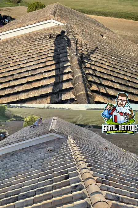 Société de Nettoyage de Toiture Angoulême Charente