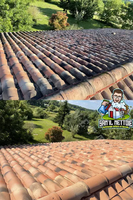 Travaux de Nettoyage de Toiture à Angoulême (16)