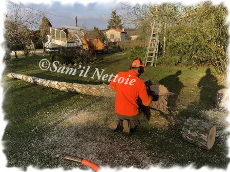 Entreprise d'abattage d'arbre Angoulême 16000 Charente